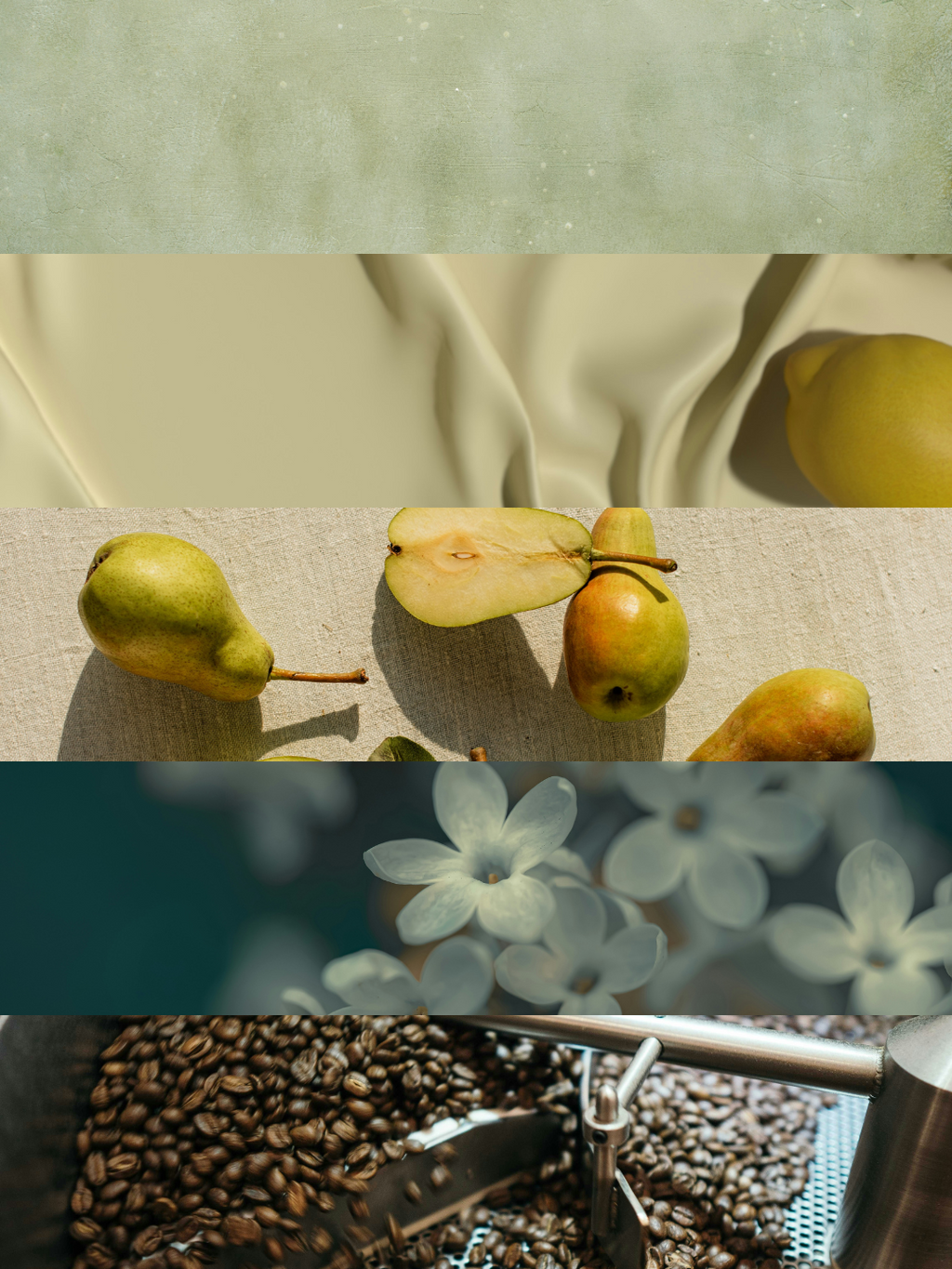 Scented Essence Sample Pack - 5 scents